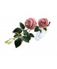 Róża wzór 1 78 cm KS016