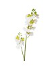 Orchidea 85 cm
