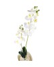 Orchidea 58 cm podwójna