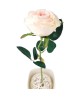 Róża pojedyncza 49 cm
