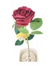 Róża pojedyncza 49 cm