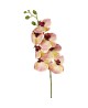 Orchidea 105 cm