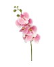 Orchidea 105 cm